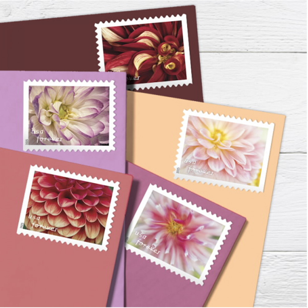2025 Dahlias Stamps Book of 20